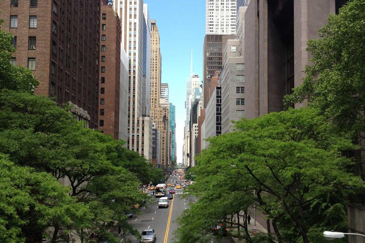 Understanding Your Emotions: A Guide